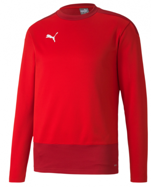 Puma teamGOAL 23 Training Sweat