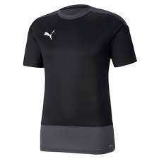 Puma teamGoal 23 Training Jersey - schwarz