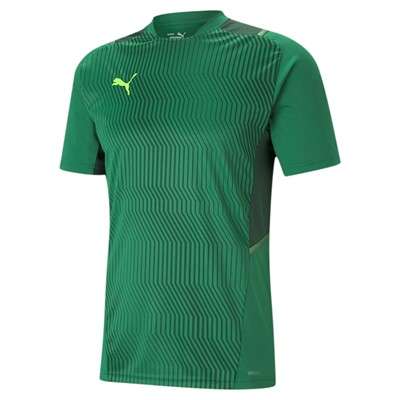 Puma teamCUP Training Jersey - grün