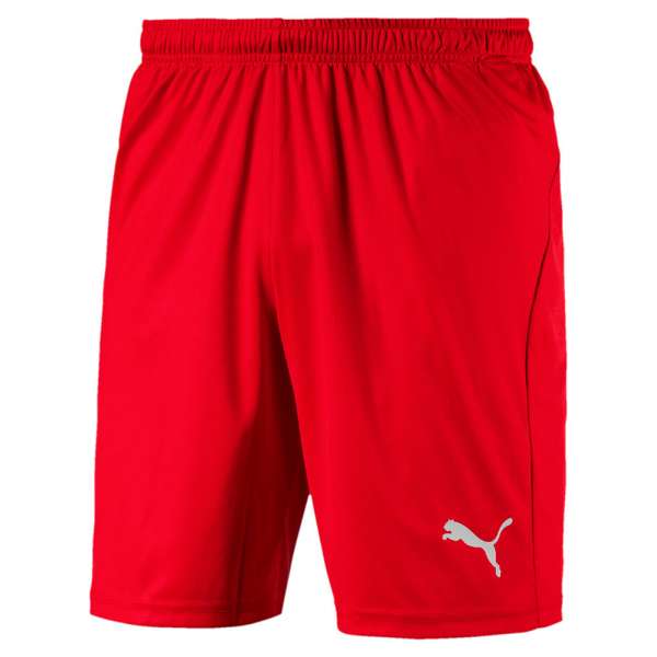 Puma Liga Shorts Core - rot