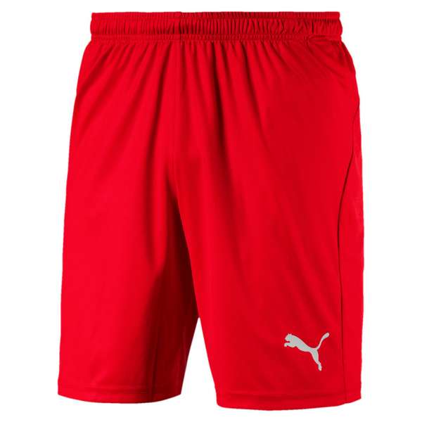 Puma LIGA Shorts Core KIDS - rot