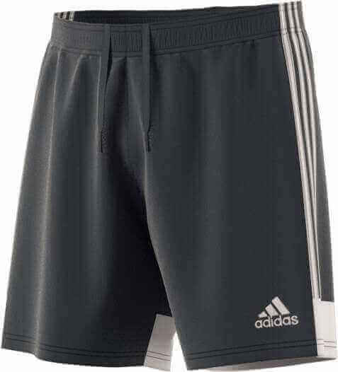 adidas Tastigo 19 Short - grau