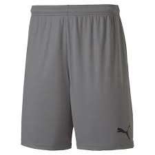 Puma teamGOAL 23 Knit Shorts KIDS - grau