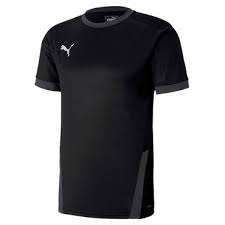 Puma teamGOAL 23 Jersey - schwarz