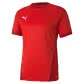 Puma teamGOAL 23 Jersey - rot