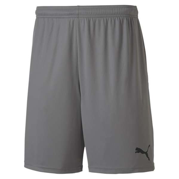 Puma teamGOAL 23 Knit Shorts - grau