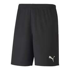 Puma teamGOAL 23 Knit Shorts - schwarz