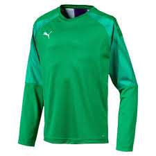 Puma Cup GK Jersey LS Junior - grün