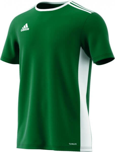 adidas Entrada 18 Trikot - dunkelgrün