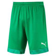 Puma CUP Shorts - grün