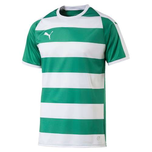 Puma Liga Jersey Hooped - grün/weiß