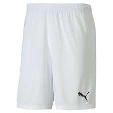 Puma teamGOAL 23 Knit Shorts - weiß