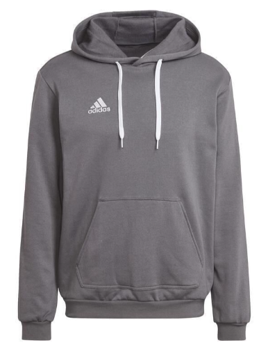 Adidas Entrada 22 Hoody - Grau