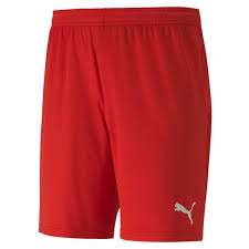 Puma teamGOAL 23 Knit Shorts - rot