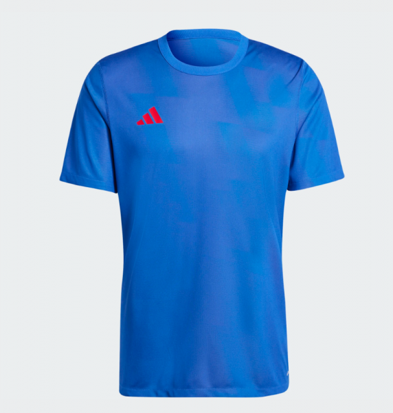 adidas Wendetrikot 24 - blau/rot