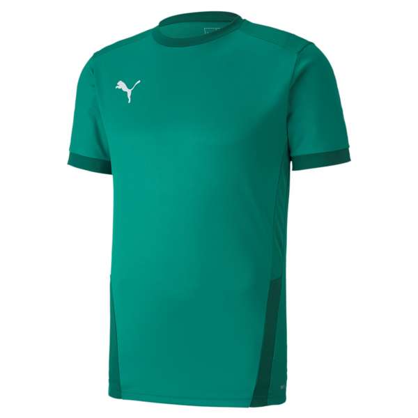 Puma teamGOAL 23 Jersey - grün