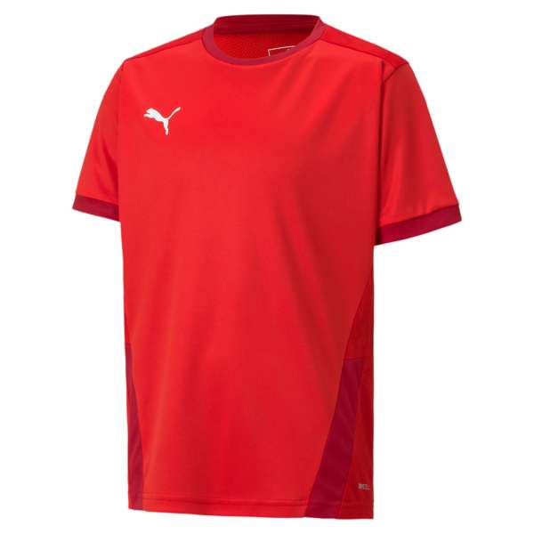 Puma teamGOAL 23 Jersey KIDS - rot