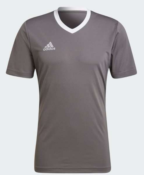 Adidas Entrada22 Jersey - grau