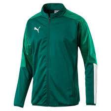 Puma CUP Sideline Jacket - grün