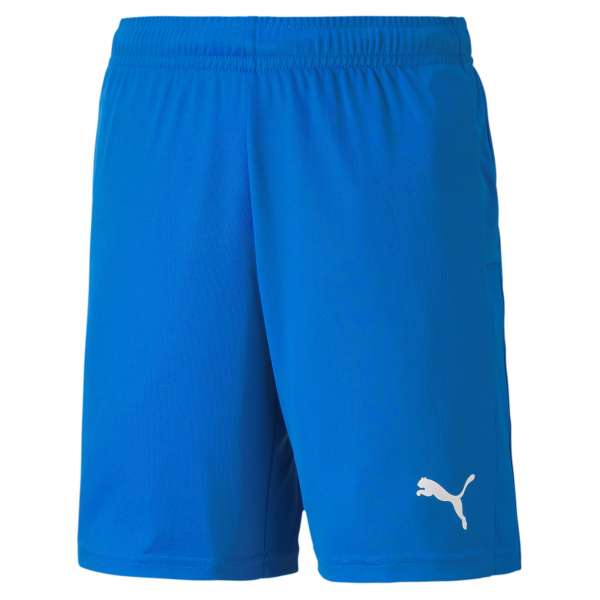 Puma teamGOAL 23 Knit Shorts KIDS - blau