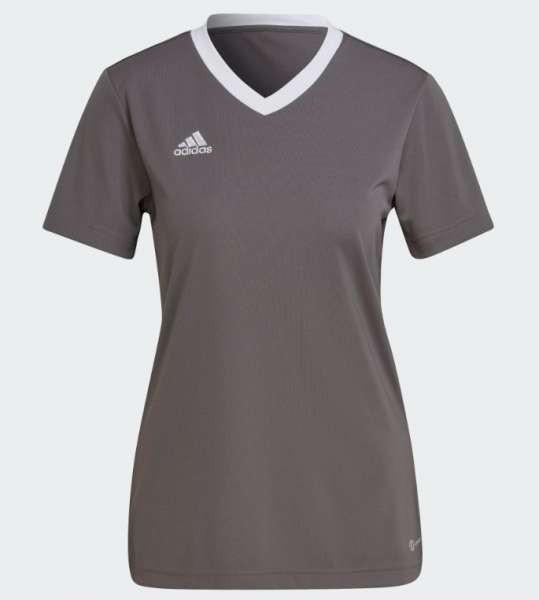 Adidas Entrada22 Jersey Damen - grau