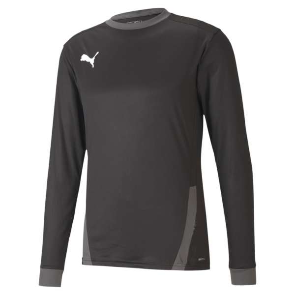 Puma teamGOAL 23 Jersey LS - schwarz