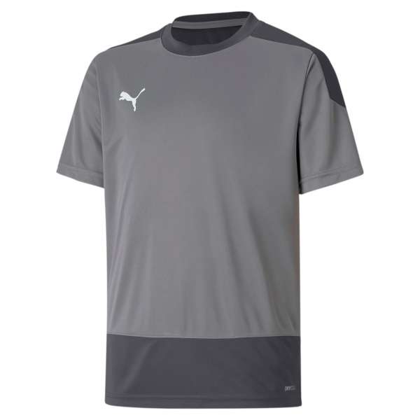 Puma teamGoal 23 Training Jersey Kids - grau