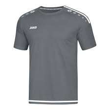 Jako T-Shirt Striker 2.0 - grau