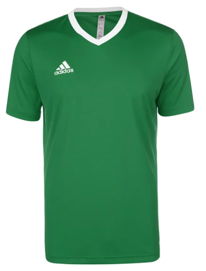 adidas ENTRADA 22 FUSSBALLTRIKOT HERREN