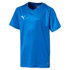 Puma Liga Jersey Core KIDS - blau