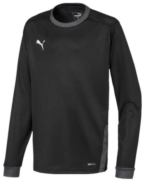 Puma teamGOAL 23 Jersey LS Kids schwarz