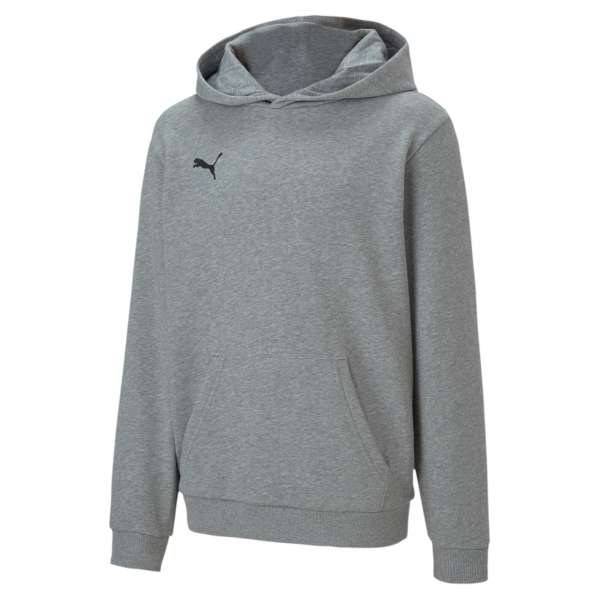 Puma teamGoal 23 Casual Hoody KIDS - grau