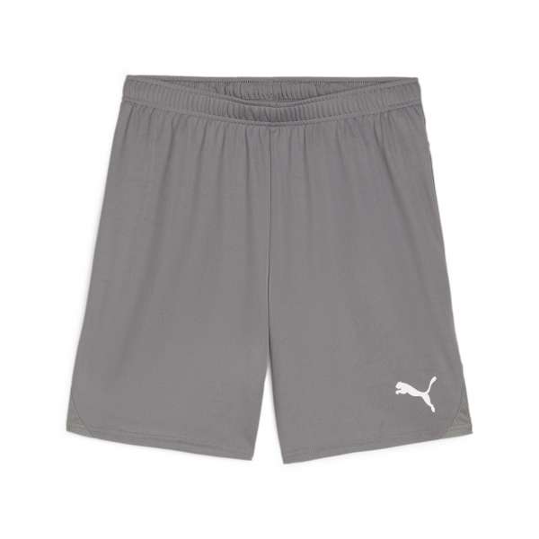 Puma teamGOAL Short Kids - grau