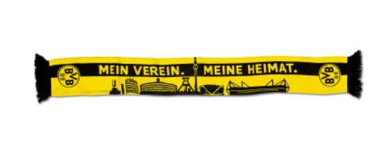 BVB Fanschal Skyline