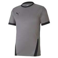 Puma teamGOAL 23 Jersey - grau