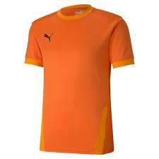 Puma teamGOAL 23 Jersey - orange