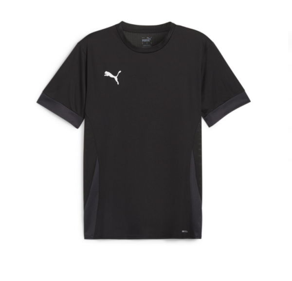 Puma teamGOAL Matchday Jersey - schwarz