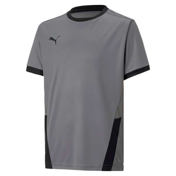 Puma teamGOAL 23 Jersey KIDS - grau