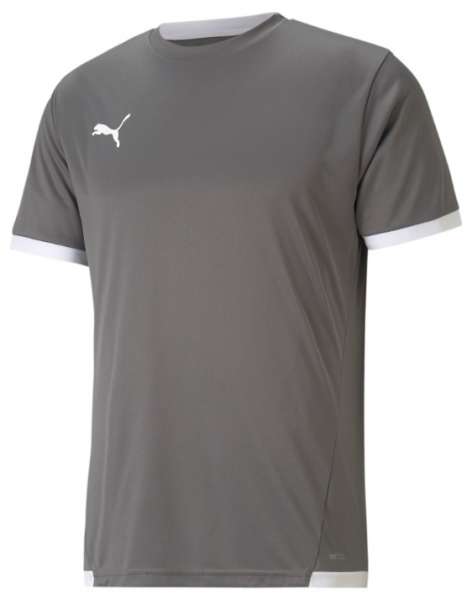 Puma teamLIGA Jersey - grau