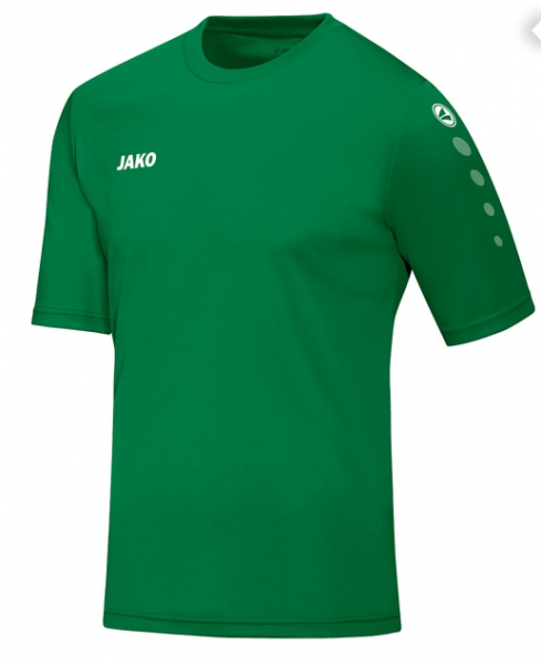 Jako Trikot Team KA - grün