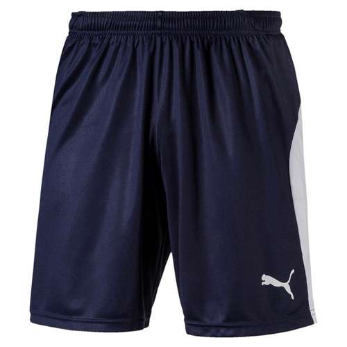 Puma Liga Shorts - dunkelblau