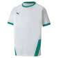 Puma teamGOAL 23 Jersey KIDS - weiß/grün