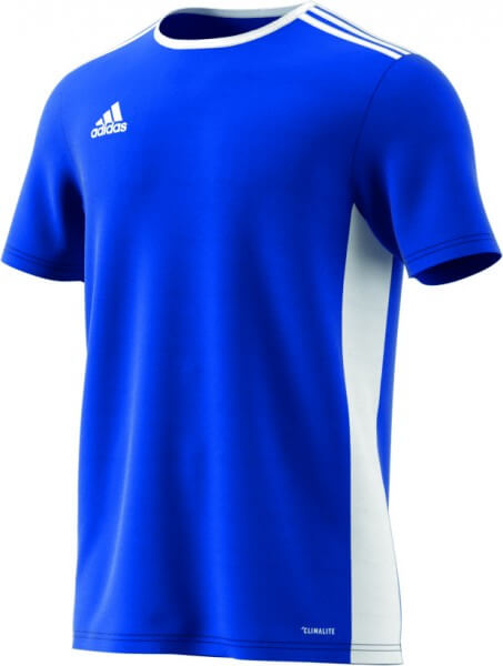 adidas Entrada 18 Trikot Kinder- blau