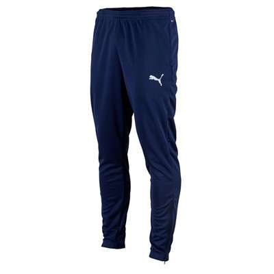 Puma teamRISE Poly Trainingshose - dunkelblau