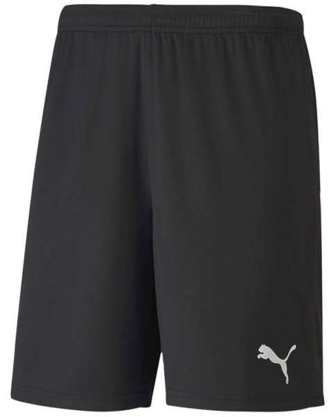 Puma teamGOAL 23 knit Shorts