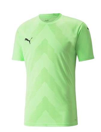 Puma teamGLORY Jersey