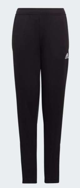 Adidas Entrada22 Tr Pant kids schwarz