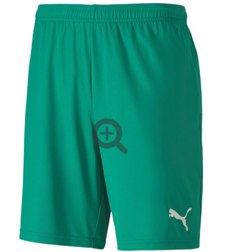 Puma teamGOAL 23 Knit Shorts - grün