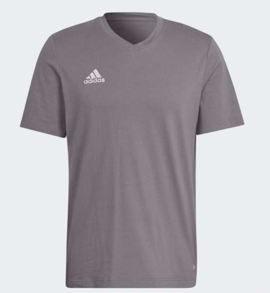 Adidas Entrada22 Tee - grau