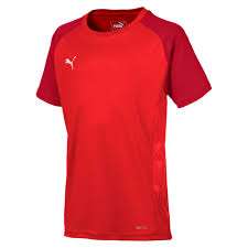 Puma CUP Training Jersey Core Kinder - rot